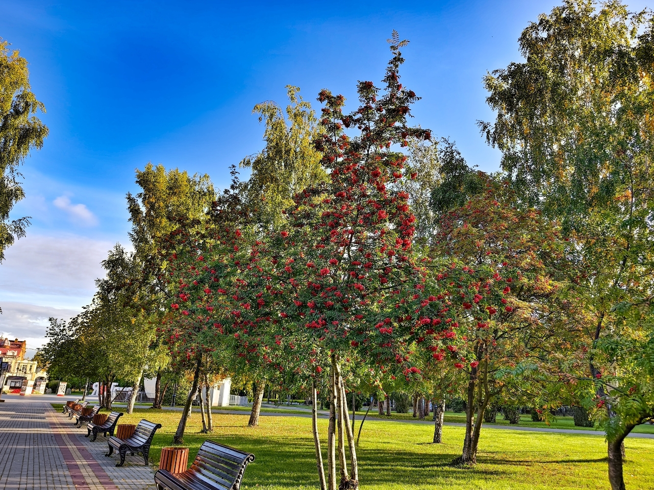 Осенний вид Томска