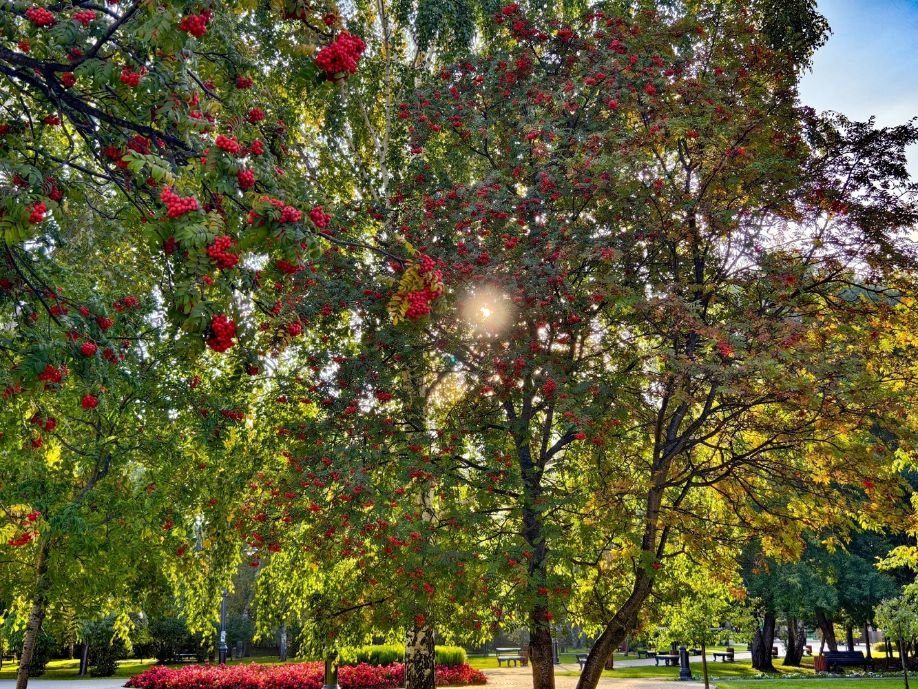 Осенний вид Томска
