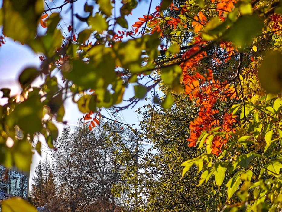 Осенний вид Томска