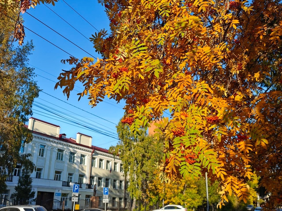Осенний вид Томска
