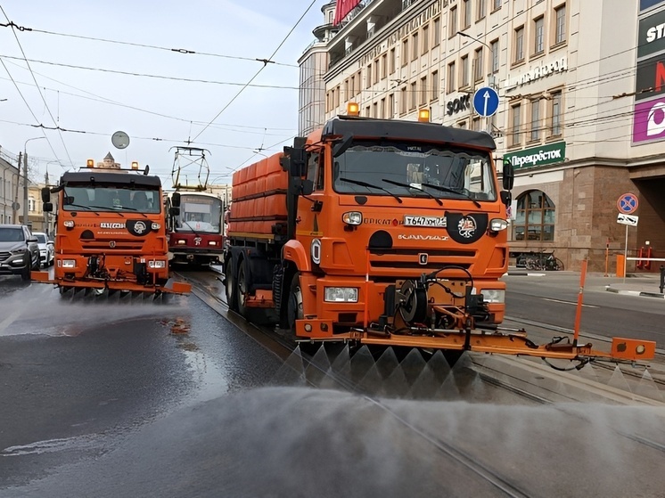 За сутки коммунальные службы в Туле очистили более 30 улиц и переулков