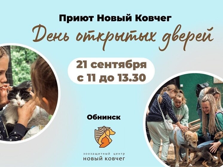 В обнинском приюте для животных проведут экскурсию