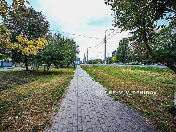 Более 8 тысяч деревьев и кустарников украсят «Богданку» в Белгороде