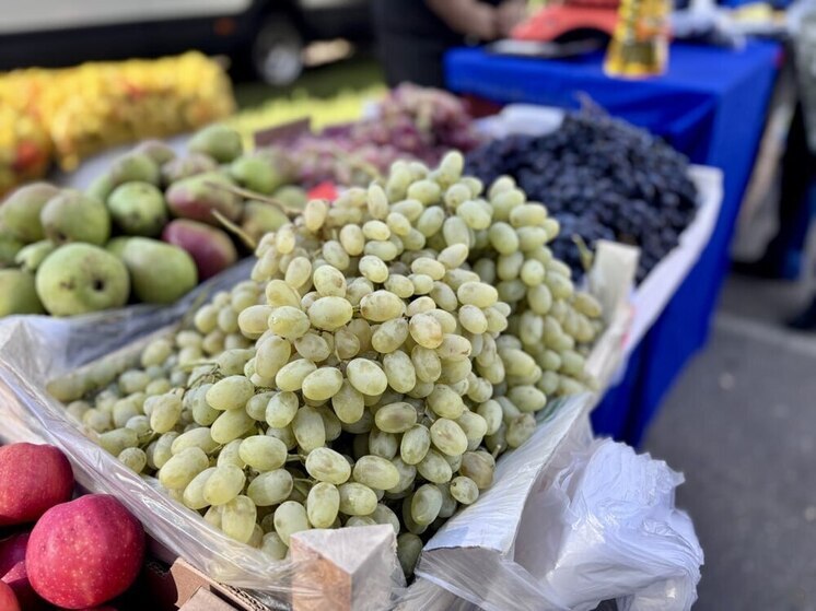 Выходные ярмарки с упором на овощную продукцию пройдут в Барнауле 20 сентября