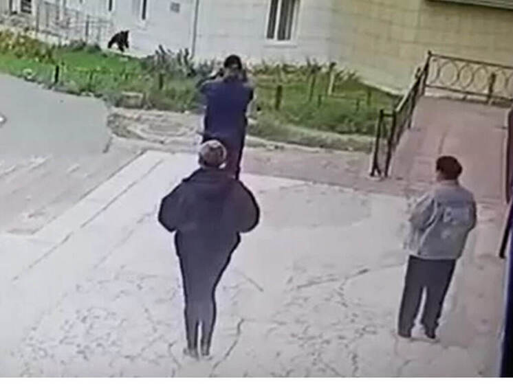 По улицам Козьмодемьянска пробежал медвежонок