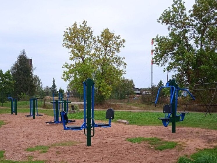 В Красногородском округе открыта новая площадка для занятий физкультурой