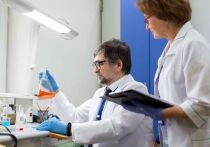 Новые биосовместимые пигменты для изготовления косметических средств нашли химики госуниверситета города на Неве