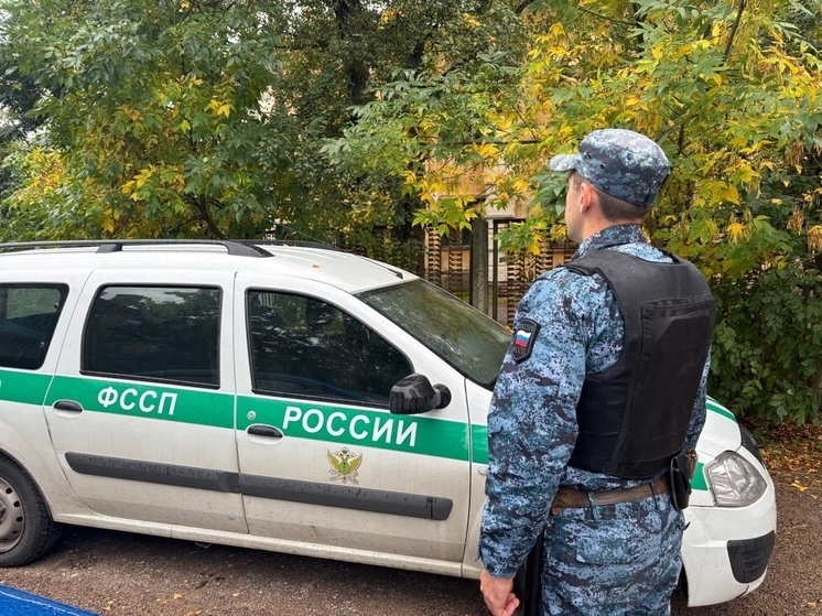 В Великих Луках судебные приставы привлекли к ответственности местного жителя за уклонение от обязательных работ