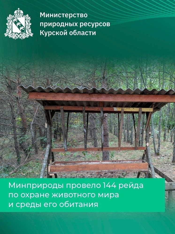 Курское Минприроды провело 144 рейда по охране экологии