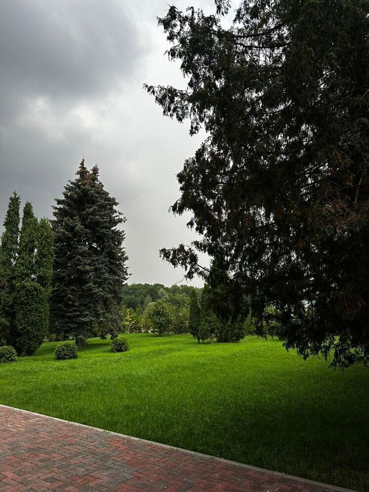 На Ставрополье началась осенняя инвентаризация лесных питомников