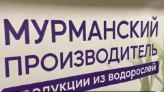 Море дарит красоту: Мурманские предприниматели начали делать косметику из водорослей