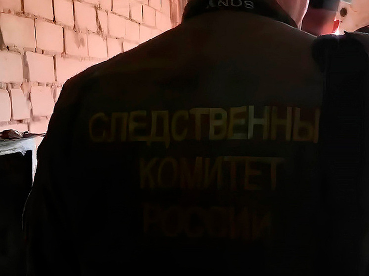 Липецкие власти предоставят временное жилье пострадавшим от пожара