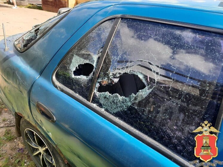В пьяном угаре мужчина разбил автомобиль соседа в Тверской области