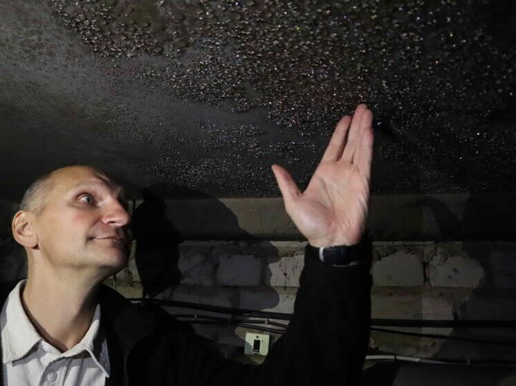 Кировчане страдают от «тропической» влажности в многоквартирном доме