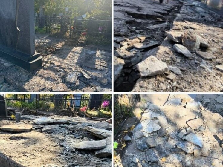Воронежцам объяснили «погром» на могиле Юрия Хоя