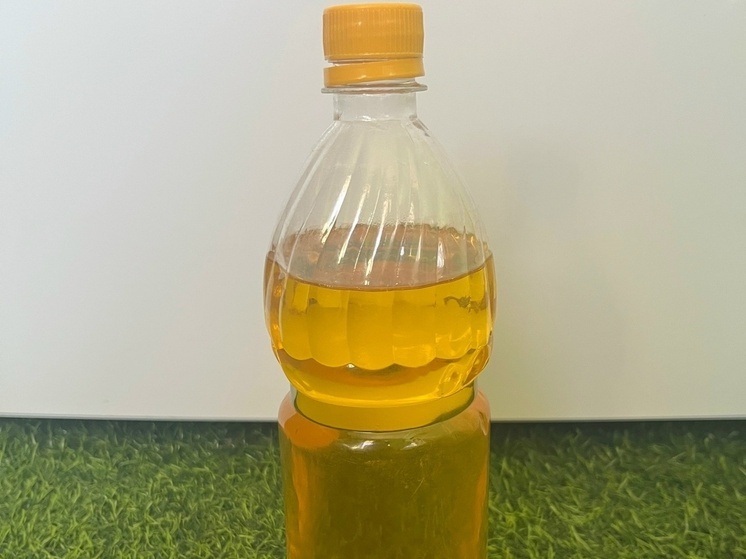 Маслоперерабатывающий завод планируют построить на юге ДНР