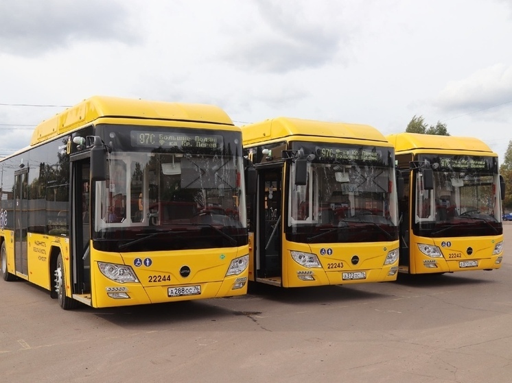 В Ярославле рейсовые автобусы перестали отражаться на картах