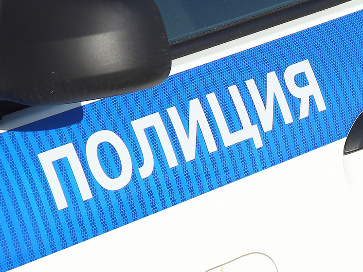Школьник из Белгородской области с молотком напал на школу во время перемены