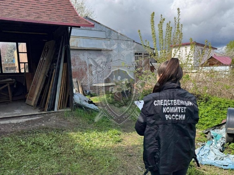 Костромича, пытавшегося убить двух человек, будут не наказывать, а лечить