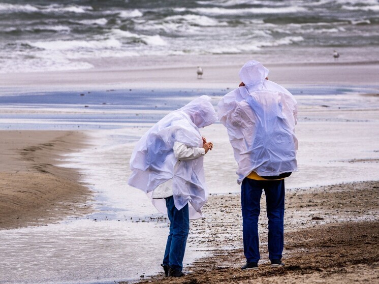 МЧС Сахалина предупредило о ливне и ураганном ветре на южных Курилах из-за циклона