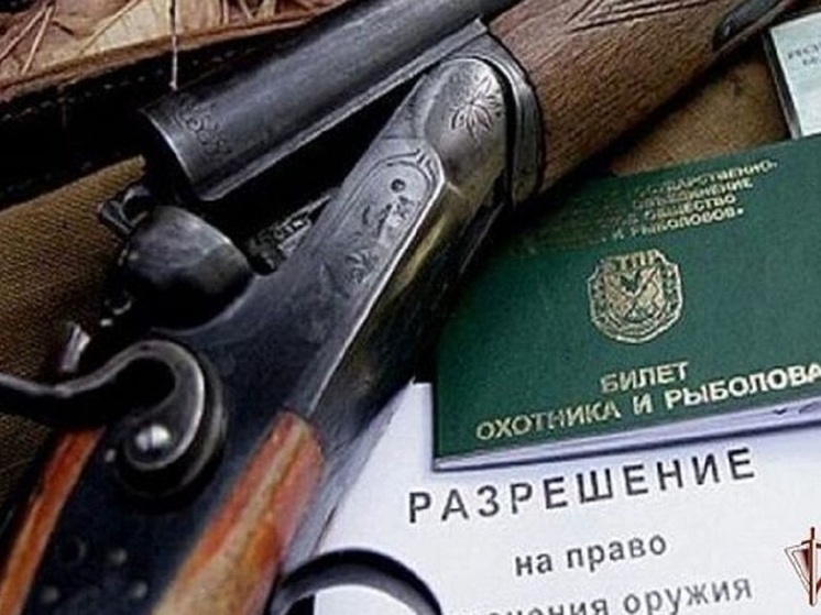 В Орловской области пенсионерка нашла в шкафу два ружья