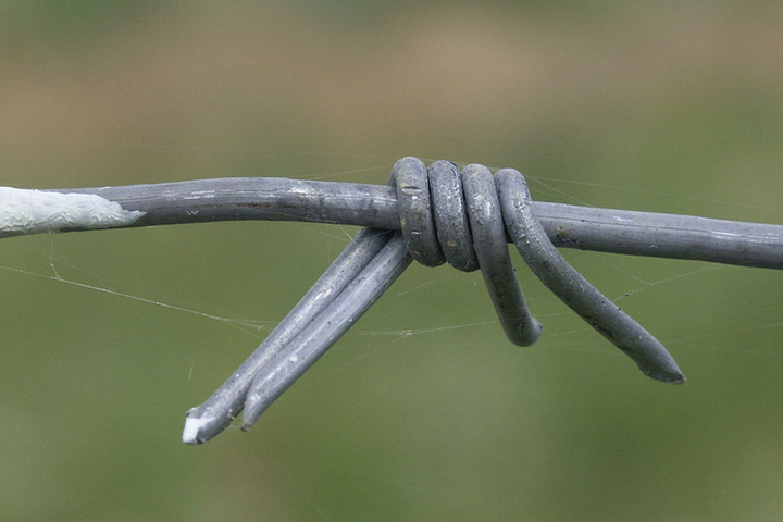 Обвиняемого по делу &quot;Военторга&quot; не отпустили на СВО