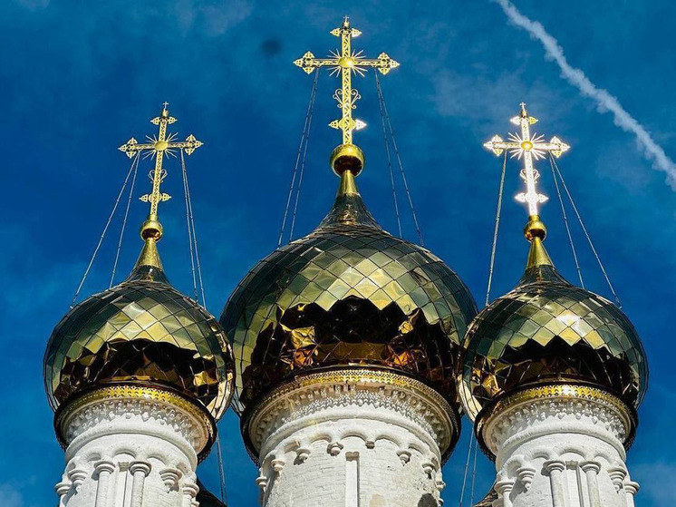 Протоиерея Сергия Сальцова отстранили от служения за антицерковную деятельность