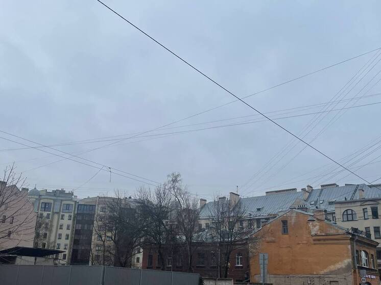 В Петербурге 20 сентября небо заволокут тучи и поднимется ветер