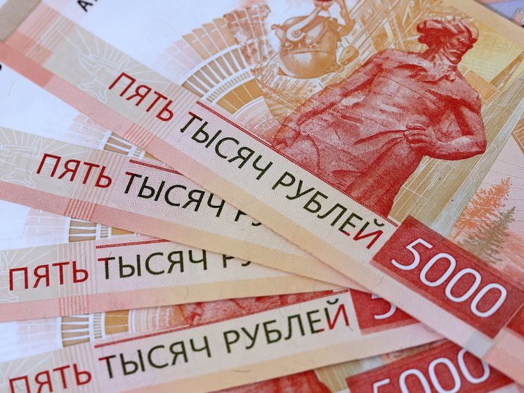 В Думе предложили направлять деньги от продажи автономеров на помощь ветеранам