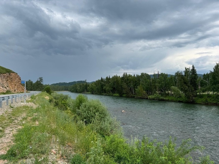 В ДНР до конца года расчистят 23 км русел рек