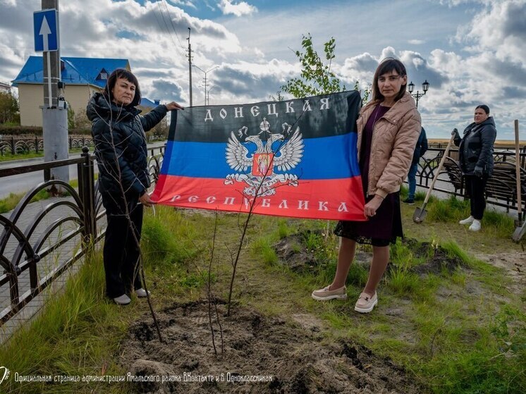 Педагоги Ямальского района познакомили коллег из ДНР с жизнью северян