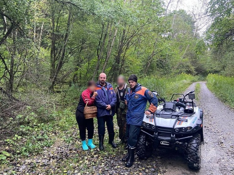 У Логвино МЧС вывело из леса заблудившихся