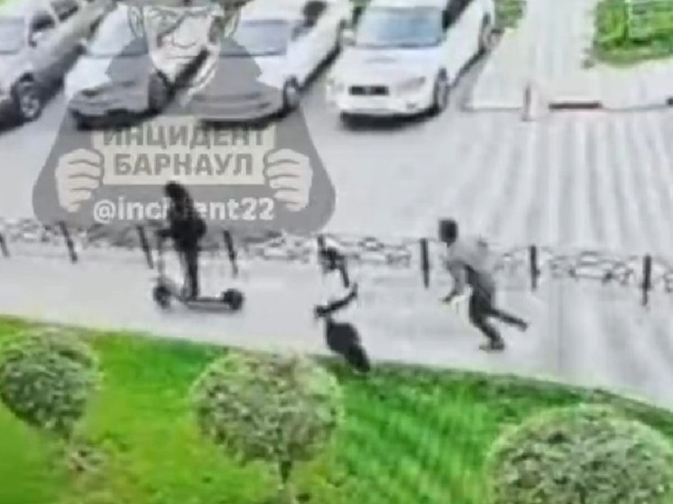 В Барнауле мужчина пнул девочку-самокатчицу, которая наехала на его спутницу