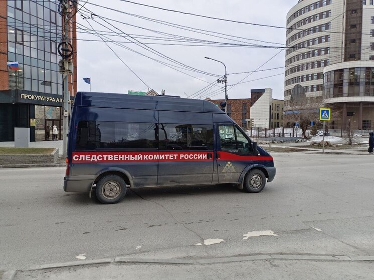 СК и прокуратура разбираются в нападении на девочку-самокатчицу в Барнауле