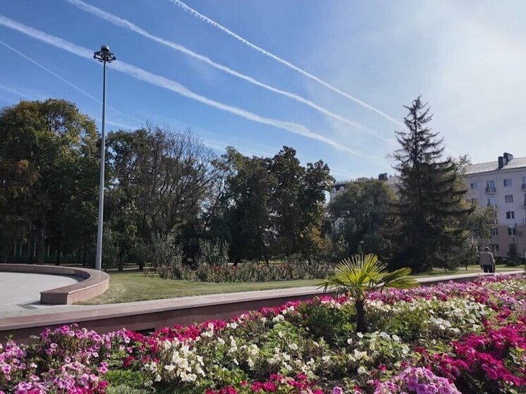 Жаркое прощание с сентябрем: до +28°C ждет тамбовчан в конце месяца