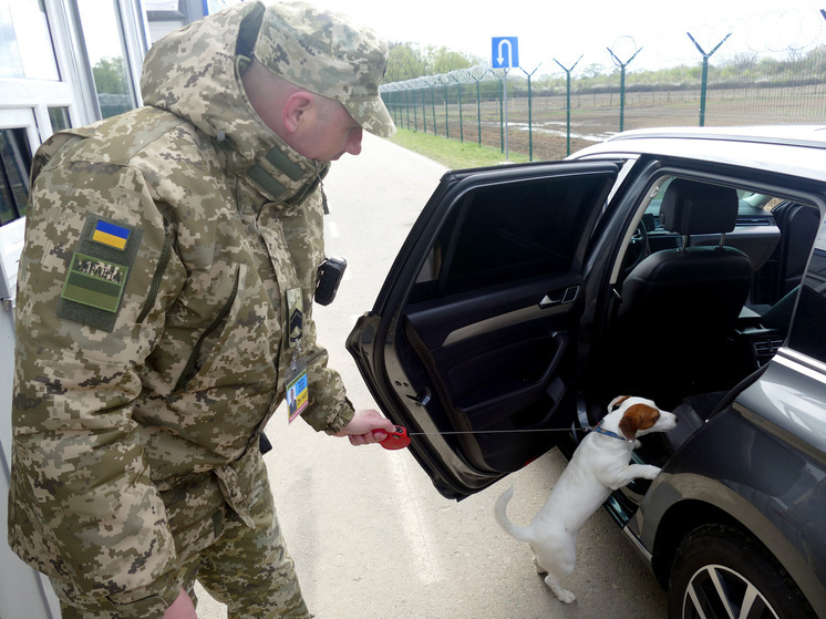 Украинские предприятия потеряли до трети  сотрудников, дошла очередь до несовершеннолетних