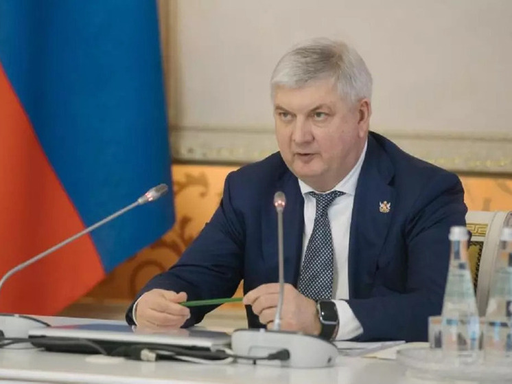 Гусев и Нетесов поздравили воронежцев с Днем города