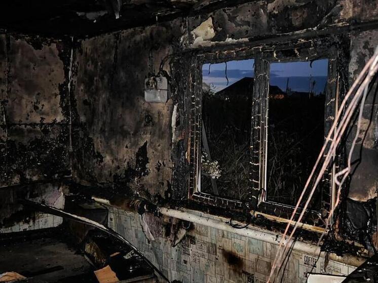 В Новосибирской области два ребенка погибли в пожаре, оставшись без взрослых