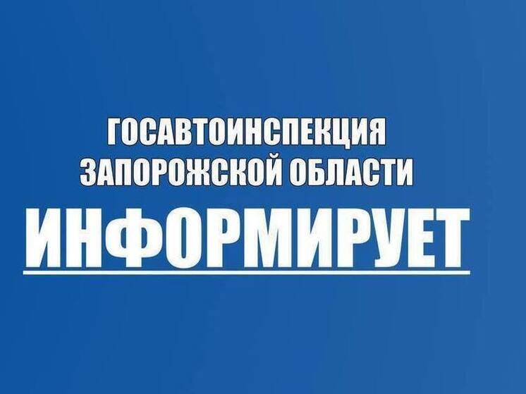 В Запорожской области зафиксировано 595 нарушений правил дорожного движения за прошедшую неделю