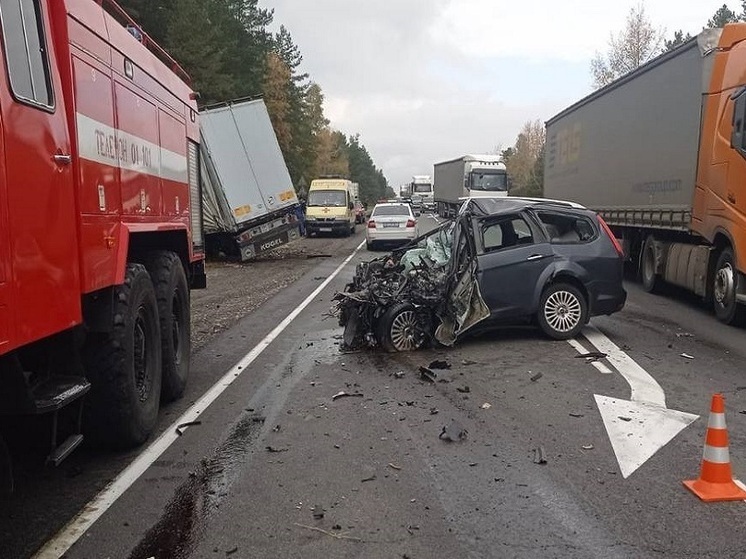 В Рязанской области два человека погибли в массовом ДТП