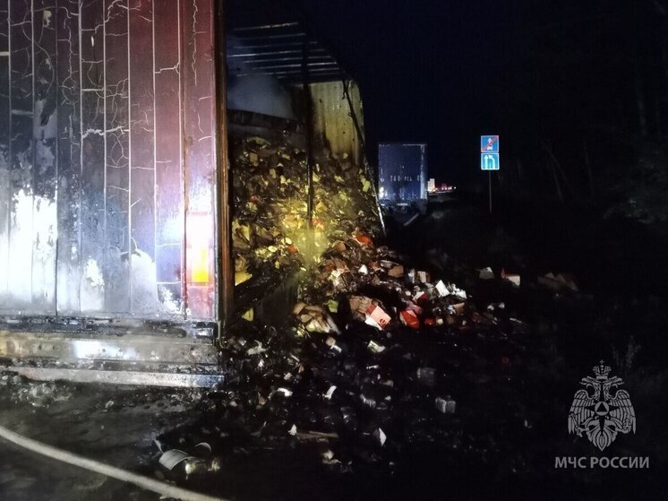 Автомобиль внезапно загорелся на трассе в Нижегородской области