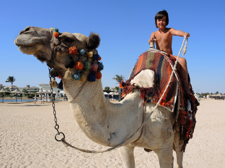 Нетаньяху обвинил Египет в несоблюдении мирного договора 1979 года