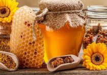 Покупаете мед и сомневаетесь в качестве продукта? Хотите научиться отличать поддельный товар от натурального лакомства? Мы подготовили подробную инструкцию, которая поможет разобраться, какой мед выбрать и как правильно его хранить, чтобы наслаждаться вкусным и полезным продуктом круглый год.