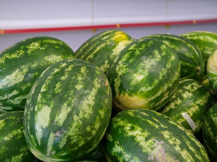 В Астраханскую область пытались ввезти 21 тонну арбузов без проверки
