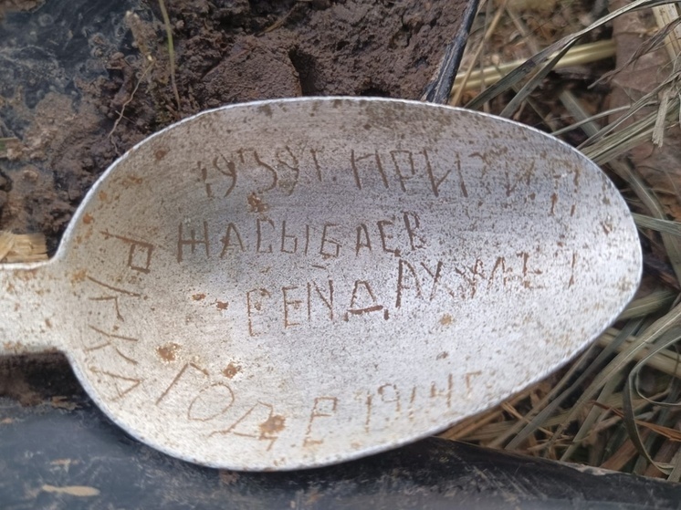 Поисковики нашли останки солдат на месте будущей ВСМ в Новгородской области