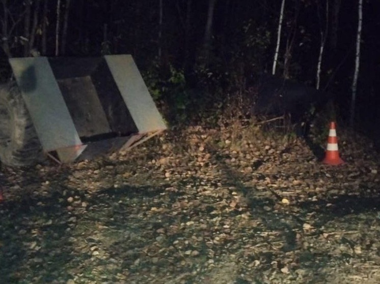 На Урале три человека пострадали при опрокидывании снегоболотохода