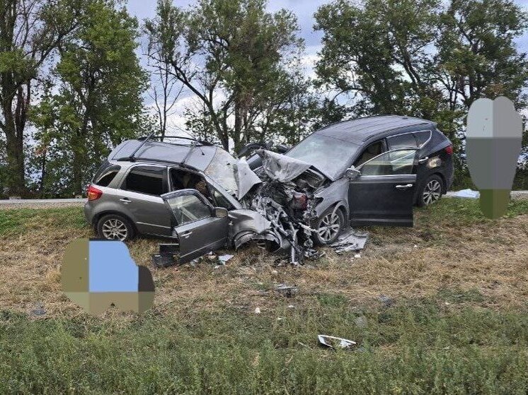 В Тбилисском районе в ДТП погибли водитель и пассажирка иномарки