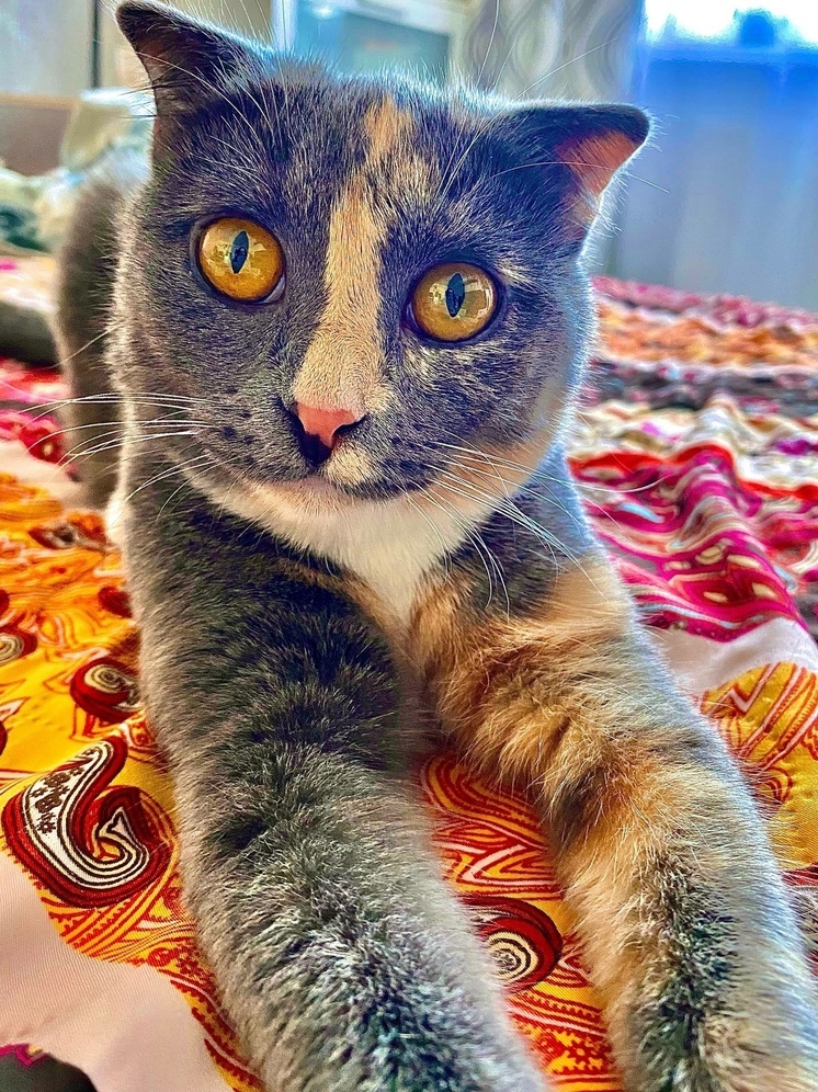 В Калуге несколько семей стали счастливее