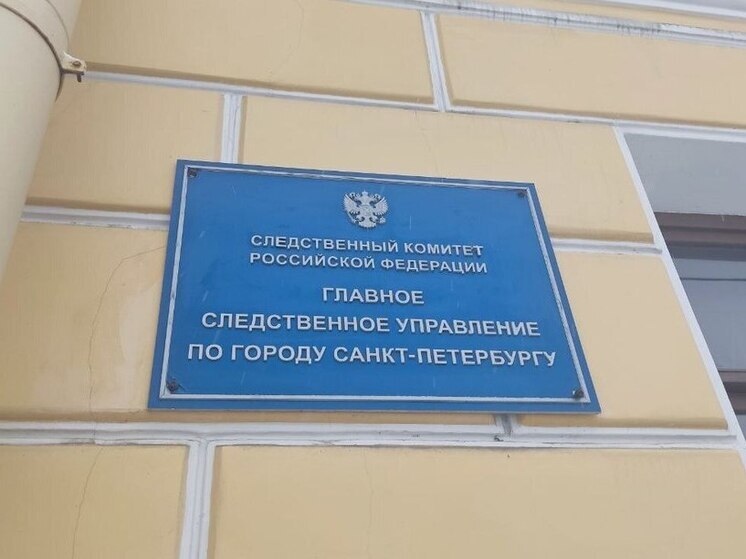 Бастрыкину доложат подробности жестокого избиения мужчины мигрантами в Петербурге