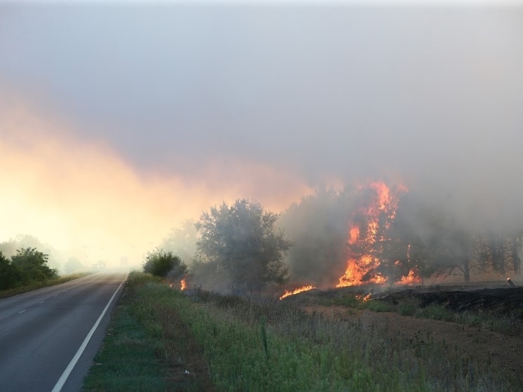 Оранжевый уровень пожарной опасности ввели в Волгоградской области